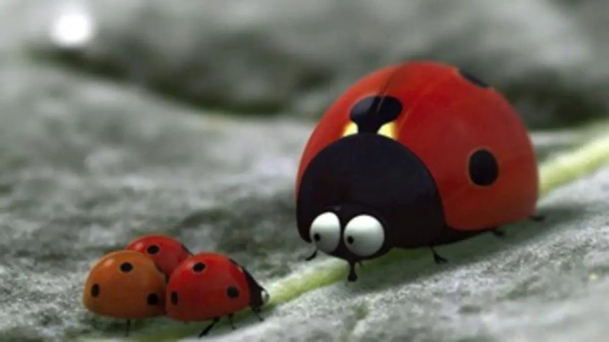 Minuscule, la vie privée des insectes S02E03 Bzzapping