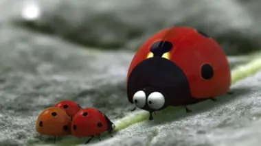 Minuscule S01E31 Tenace
