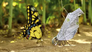 Minuscule S02E62 Pollution