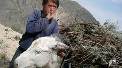 Mir : une vie en Afghanistan