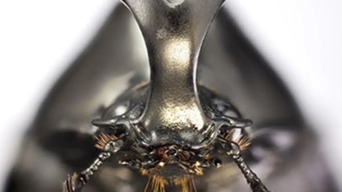 Miracles de la vie E01 Une affaire de taille