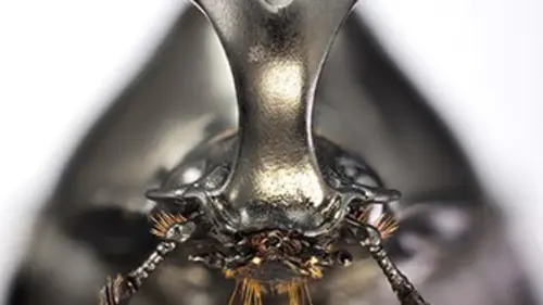 Miracles de la vie E01 Une affaire de taille