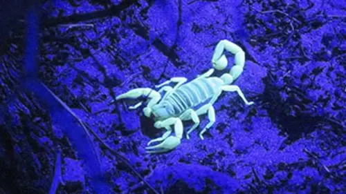 Miracles de la vie E03 Aux sources des sens