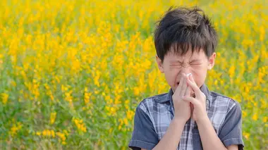 Pourquoi sommes-nous de plus en plus allergiques au pollen ?