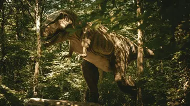 Pourquoi les traces de dinosaures nous fascinent-elles autant ?