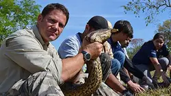 Mission monstres marins Plongée avec l'anaconda