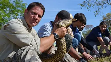 Mission monstres marins Plongée avec l'anaconda