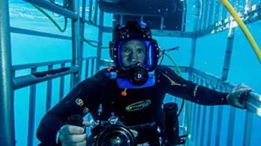 Mission monstres marins Plongée avec le grand requin blanc