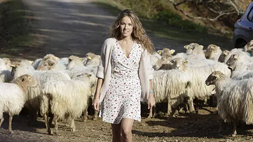 Avis sur Mission Pays basque