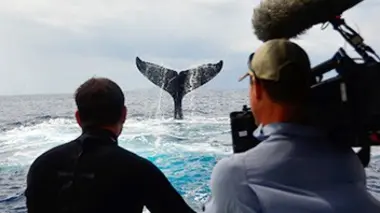 Les colosses d'Hawaii