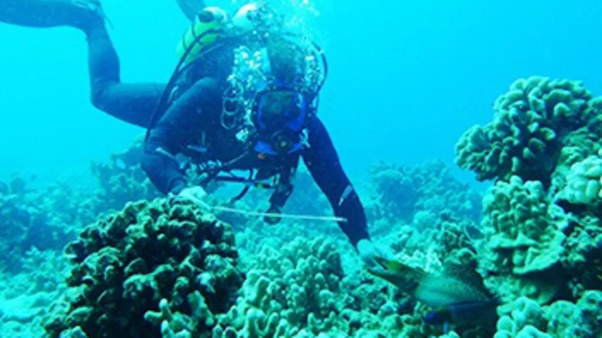 Mission Pôle Nord Pôle Sud S01E10 Les carnivores d'Hawaii