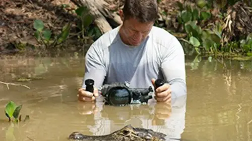 Mission Pôle Nord Pôle Sud Brésil