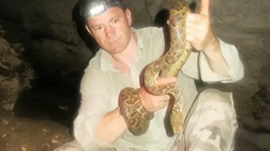 Les prédateurs à sang froid