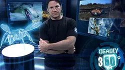 Visuel de Mission prédateurs