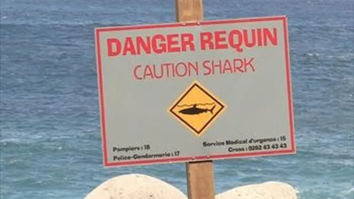 Mission : protection, les anges gardiens de votre quotidien La Réunion : une île sous tension