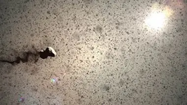 Mission Rosetta, chasseur de comète