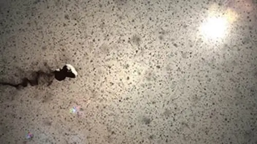Mission Rosetta, chasseur de comète