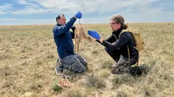 Mission : sauver le monde sauvage