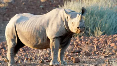 Les sanctuaires de faune