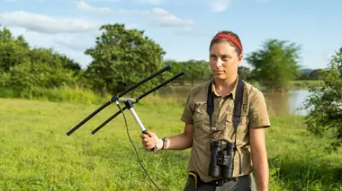 Attrape-moi si tu peux