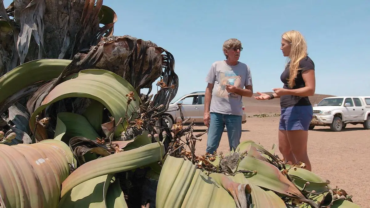 Missions Namibie Urgences à Harnas