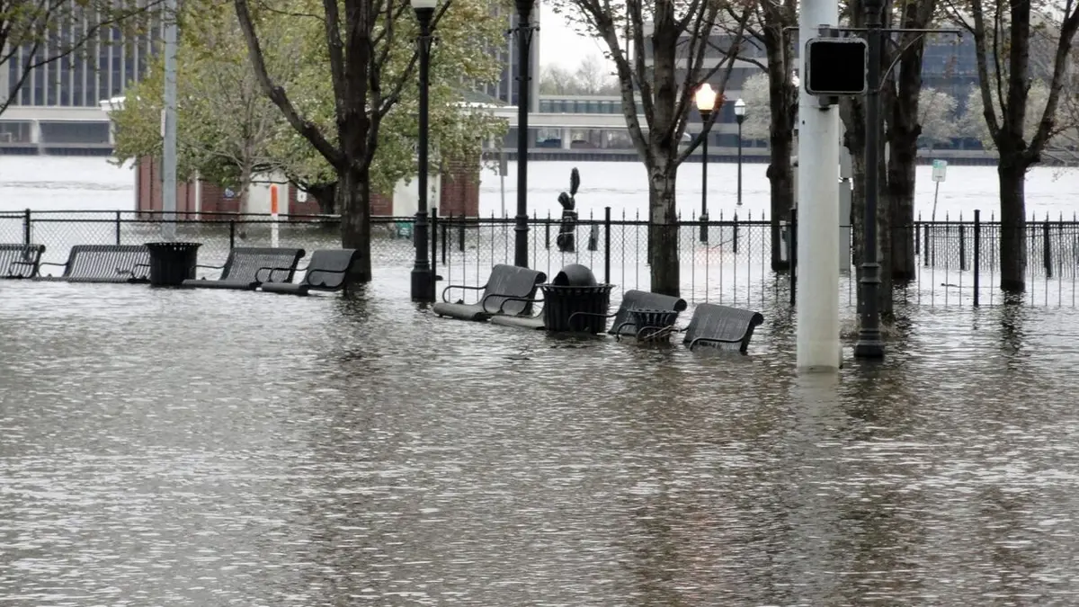 Mississippi sauvage En eaux troubles