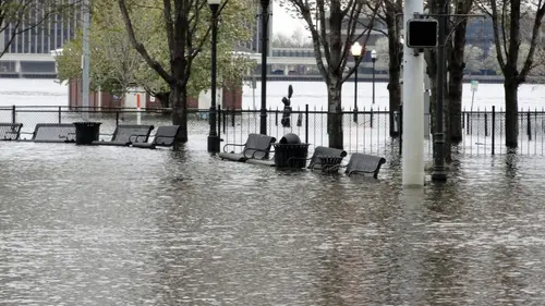Mississippi sauvage En eaux troubles