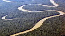 Visuel de Mississippi sauvage