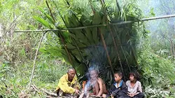 Mlabri, à l'ombre de la canopée