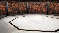 MMA