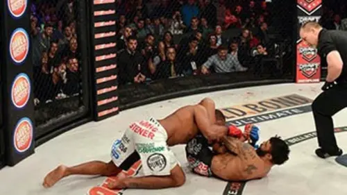 MMA Bellator 162