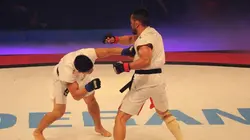 Ryan Bader - Cheick Kongo