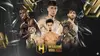 MMA Hexagone