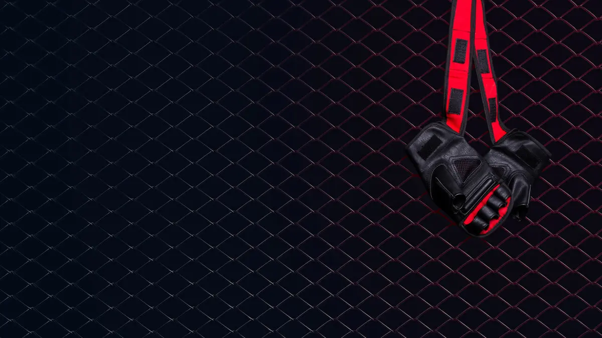 MMA Hexagone 2023