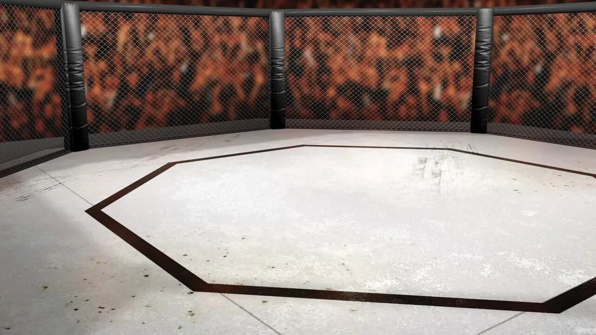 MMA Hexagone 2024