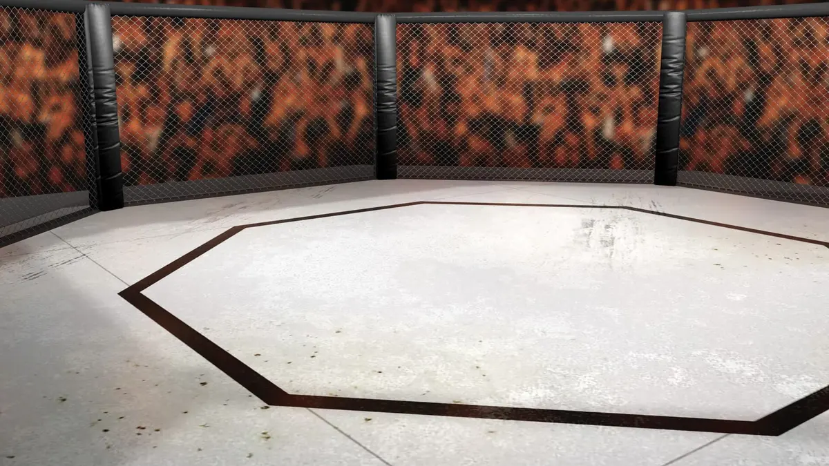 MMA Hexagone 2025