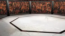 MMA Hexagone 2026