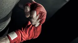 MMA Hexagone