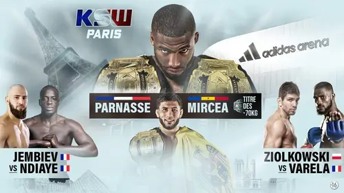 Salahdine Parnasse - Valeriu Mircea