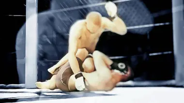 MMA MMA : UFC Fight Night