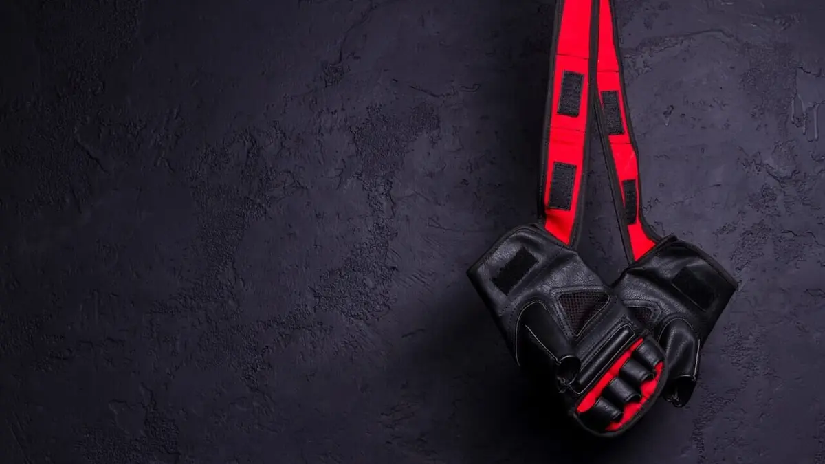 MMA MMA : Ultimate Fighting Championship 2026