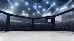 MMA : Rétro 2022
