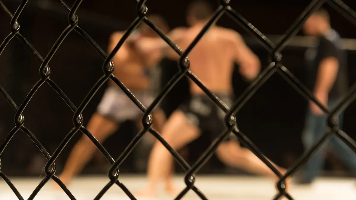 MMA : Soirée spéciale Dustin Poirier vs Benoit Saint-Denis Présentation de la soirée