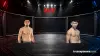 MMA UFC