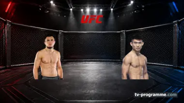 MMA UFC