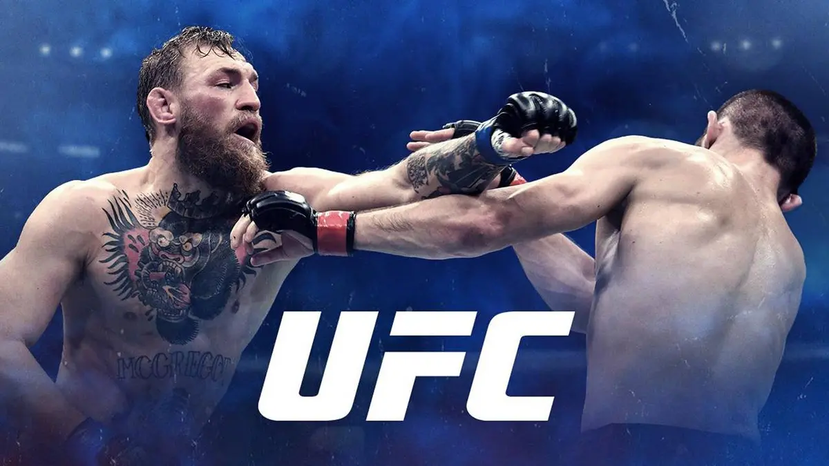MMA UFC 166