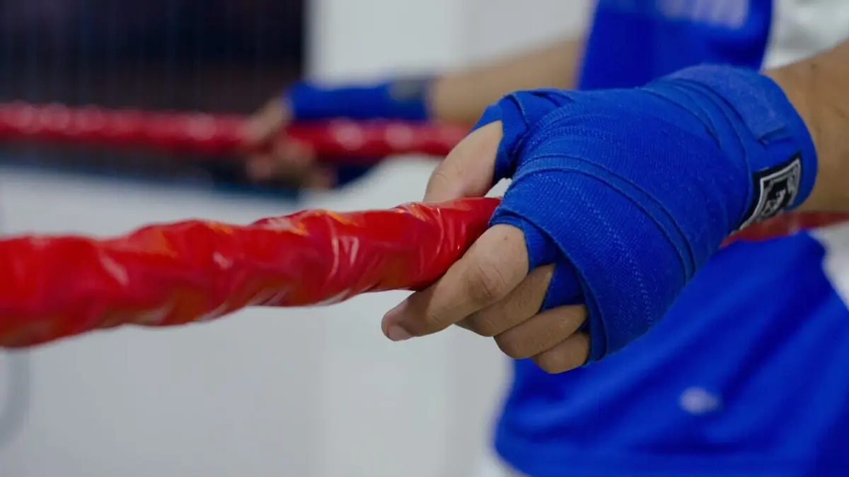 MMA UFC 2024