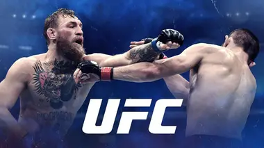 MMA UFC 248
