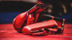 MMA : UFC Classiques