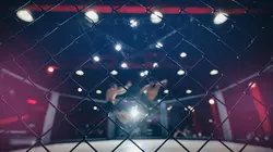 Sur L'Equipe à 23h20 : MMA : UFC Classiques